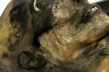Mummificazione
